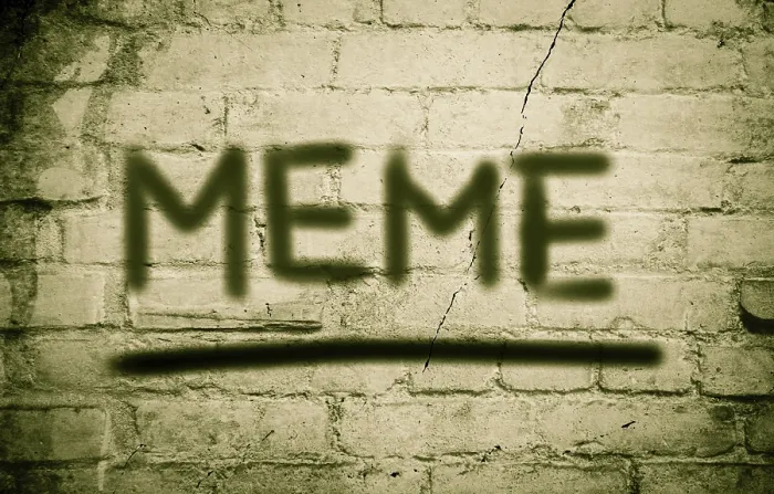 Framed Print : Meme Concept Print Artwork Framed Print : Meme Concept Print Artwork