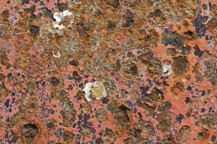 Framed Print : Metal Surface Print with Rust and Red Paint Framed Print : Metal Surface Print with Rust and Red Paint