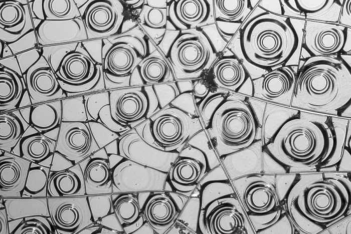 Framed Print : Microscopic Detail of Dried Egg White Print in Grey Framed Print : Microscopic Detail of Dried Egg White Print in Grey