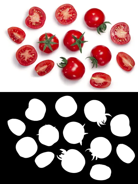 Framed Print : Middle Globe Tomatoes Print - Whole and Sliced Framed Print : Middle Globe Tomatoes Print - Whole and Sliced