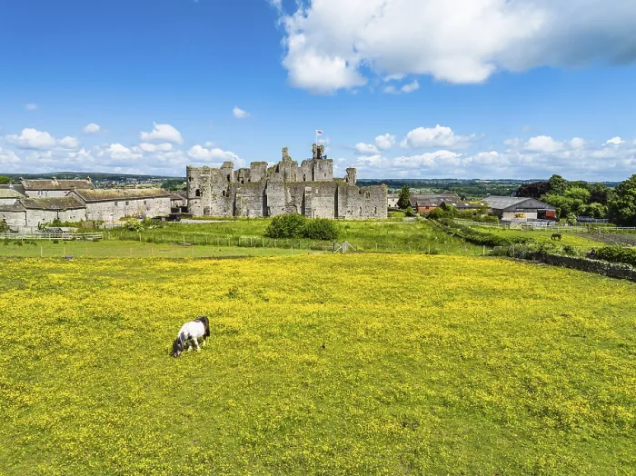 Framed Print : Middleham Castle Print, Wensleydale, North Yorkshire Framed Print : Middleham Castle Print, Wensleydale, North Yorkshire