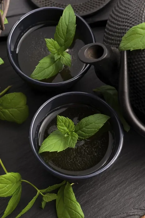 Framed Print : Mint Tea Print Framed Print : Mint Tea Print