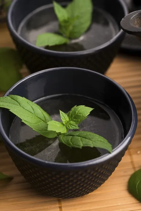 Framed Print : Mint Tea Print Framed Print : Mint Tea Print