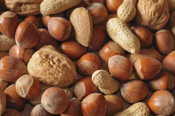 Framed Print : Mixed Nuts Print Framed Print : Mixed Nuts Print