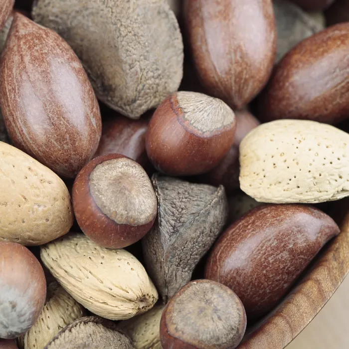 Framed Print : Mixed Nuts Print Framed Print : Mixed Nuts Print