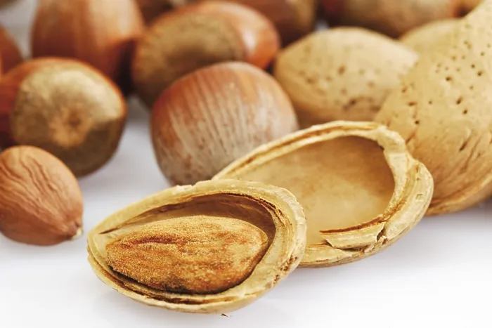 Framed Print : Mixed Nuts Print: Hazelnuts, Almonds Framed Print : Mixed Nuts Print: Hazelnuts, Almonds