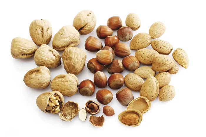 Framed Print : Mixed Nuts Print: Walnuts, Hazelnuts and Almonds Framed Print : Mixed Nuts Print: Walnuts, Hazelnuts and Almonds