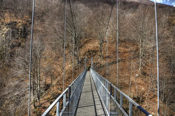 Framed Print : Modern Hanging Bridge Print Framed Print : Modern Hanging Bridge Print