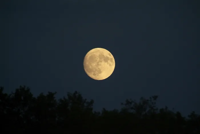 Framed Print : Moon Moon Print by imageBROKER Framed Print : Moon Moon Print by imageBROKER