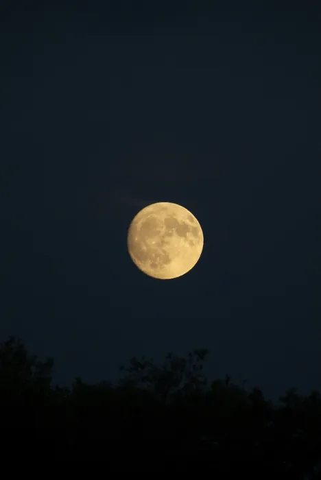 Framed Print : Moon Moon Print by imageBROKER Framed Print : Moon Moon Print by imageBROKER