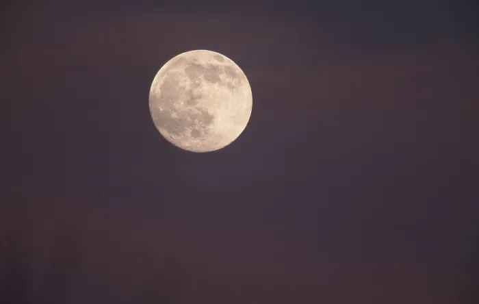 Framed Print : Full Moon Print by imageBROKER Framed Print : Full Moon Print by imageBROKER