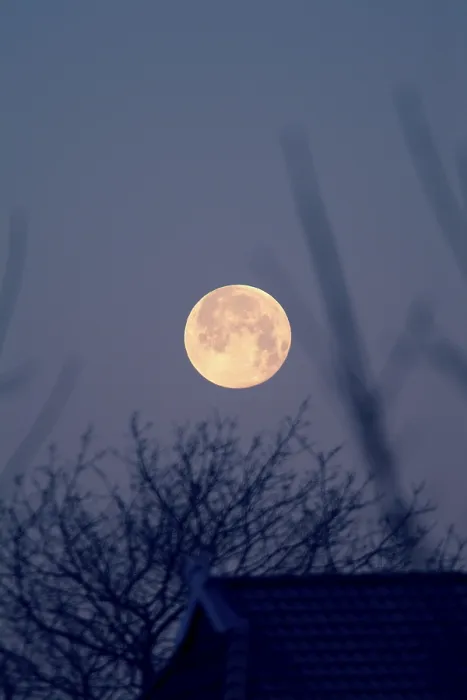 Framed Print : Full Moon Print by ImageBROKER Framed Print : Full Moon Print by ImageBROKER