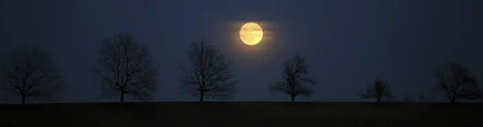 Framed Print : Full Moon Behind Trees Print, Altenmarkt, Chiemgau, Germany Framed Print : Full Moon Behind Trees Print, Altenmarkt, Chiemgau, Germany