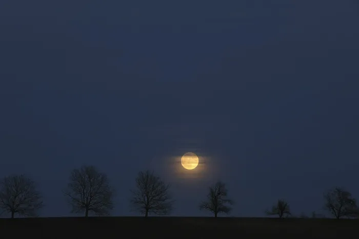 Framed Print : Full Moon Behind Trees in St. Wolfgang, Germany Print Framed Print : Full Moon Behind Trees in St. Wolfgang, Germany Print