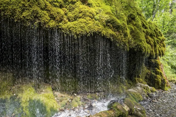 Framed Print : Moss covered rocks at Wutach gorge, Germany print Framed Print : Moss covered rocks at Wutach gorge, Germany print