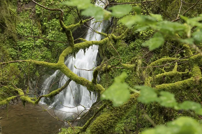 Framed Print : Moss-covered Rocks and Waterfall Print, Wutach Gorge, Germany Framed Print : Moss-covered Rocks and Waterfall Print, Wutach Gorge, Germany