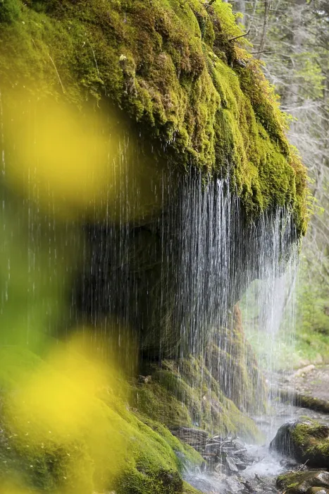 Framed Print : Moss-covered rocks and waterfall Print, Wutach Gorge, Germany Framed Print : Moss-covered rocks and waterfall Print, Wutach Gorge, Germany