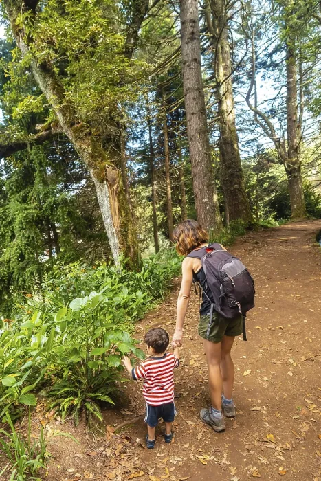 Framed Print : A Mother with Her Son on the Levada do Caldeirao Verde Print Framed Print : A Mother with Her Son on the Levada do Caldeirao Verde Print
