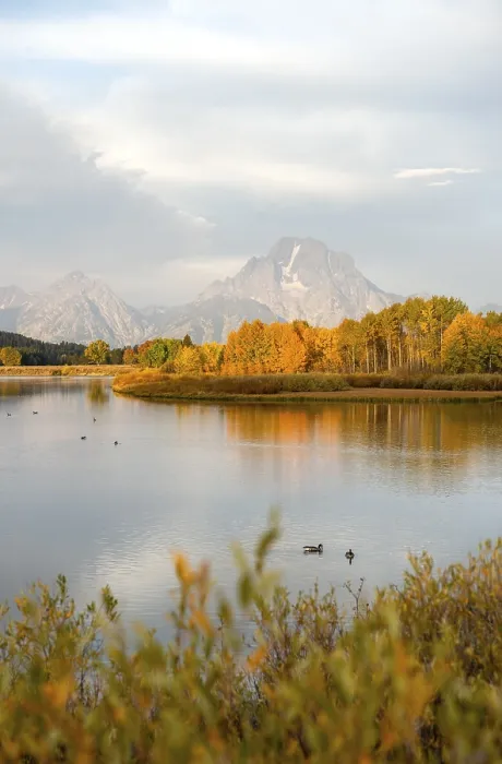 Framed Print : Mount Moran Print, Oxbow Bend Autumn Reflections Framed Print : Mount Moran Print, Oxbow Bend Autumn Reflections