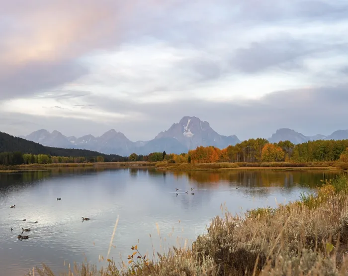 Framed Print : Mount Moran Print, Oxbow Bend Autumn Reflections Framed Print : Mount Moran Print, Oxbow Bend Autumn Reflections