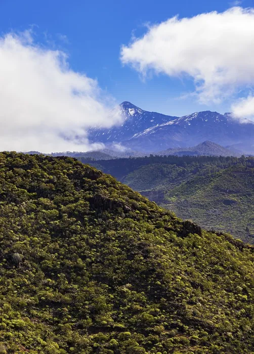Framed Print : Mountain Hike to Risco Blanco Print, Tenerife, Canary Islands Framed Print : Mountain Hike to Risco Blanco Print, Tenerife, Canary Islands