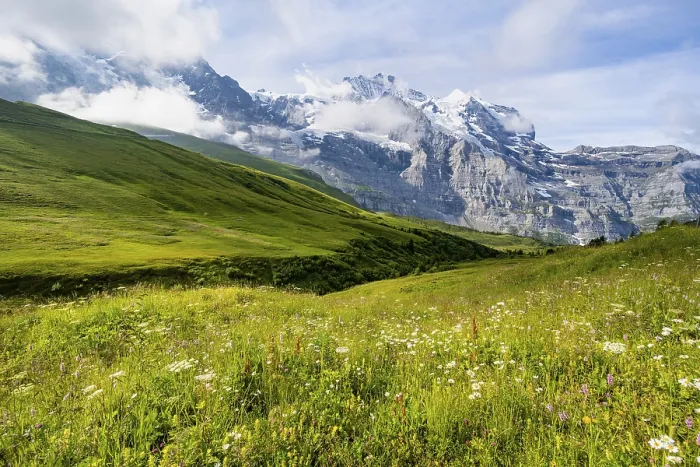 Framed Print : Mountain Panorama Print: Eiger, Monch and Jungfrau Framed Print : Mountain Panorama Print: Eiger, Monch and Jungfrau