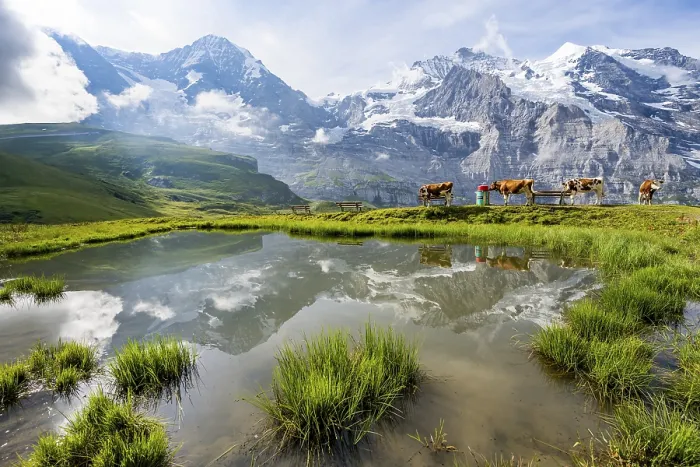 Framed Print : Mountain Panorama Print, Kleine Scheidegg, Switzerland Framed Print : Mountain Panorama Print, Kleine Scheidegg, Switzerland