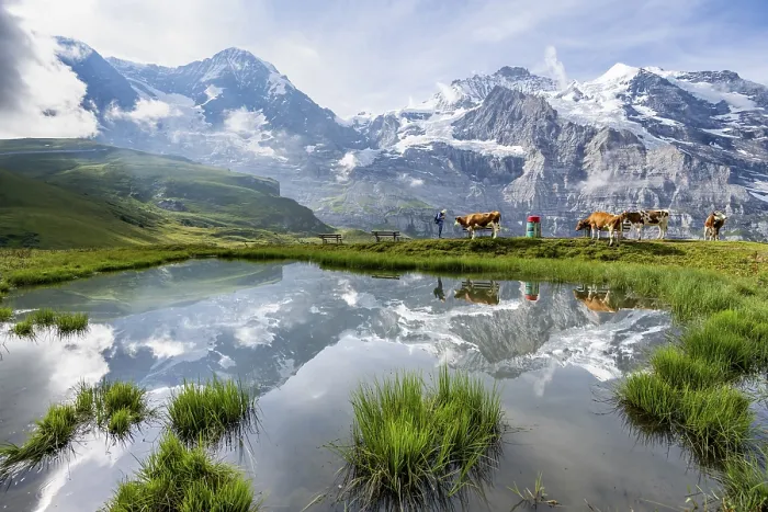 Framed Print : Mountain Panorama Print, Kleine Scheidegg, Switzerland Framed Print : Mountain Panorama Print, Kleine Scheidegg, Switzerland