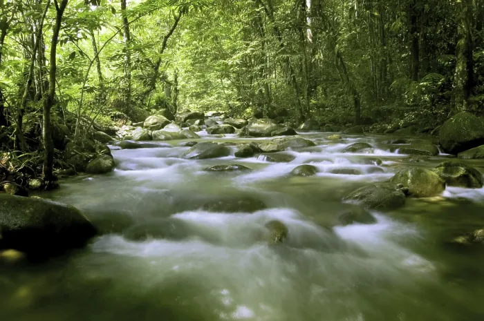 Framed Print : Mountain River Print Framed Print : Mountain River Print