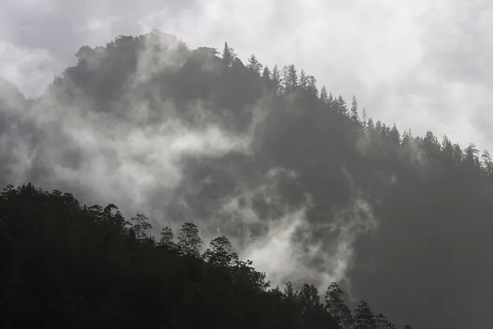 Framed Print : Sinharaja Forest Reserve Print - Cloudy Mountains Framed Print : Sinharaja Forest Reserve Print - Cloudy Mountains