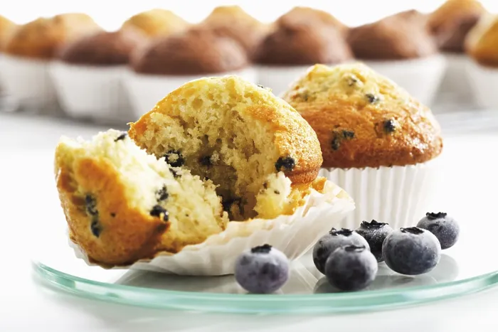 Framed Print : Blueberry Muffin Print Framed Print : Blueberry Muffin Print