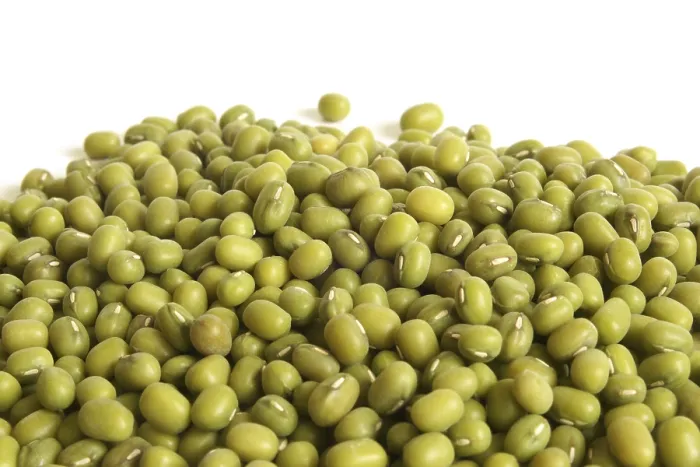 Framed Print : Mung Bean Print Backgrounds Framed Print : Mung Bean Print Backgrounds