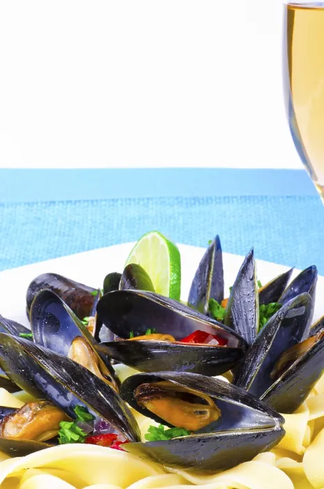 Framed Print : Mussels Print, Close-up of Freshly Harvested Mussels Framed Print : Mussels Print, Close-up of Freshly Harvested Mussels