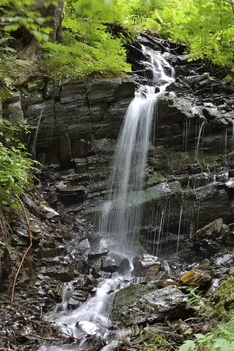 Framed Print : Natural Course of a Stream with Waterfall Print Framed Print : Natural Course of a Stream with Waterfall Print