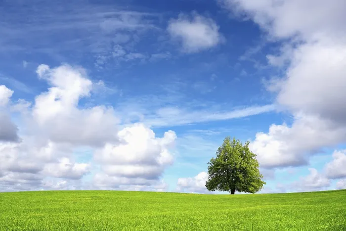 Framed Print : Nature Print - Vibrant Landscape Framed Print : Nature Print - Vibrant Landscape