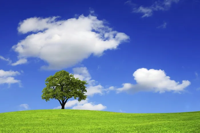 Framed Print : Nature and Cloudy Sky Print Framed Print : Nature and Cloudy Sky Print