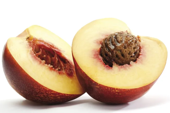 Framed Print : Nectarine Cut in Half Print Framed Print : Nectarine Cut in Half Print