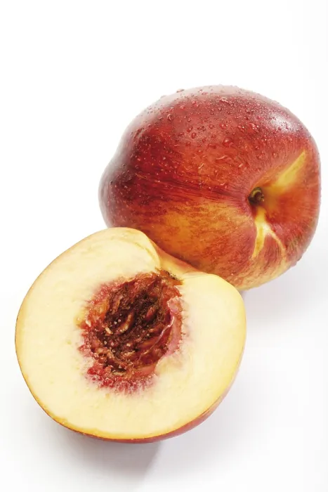 Framed Print : Nectarine and Halved Nectarine Print Framed Print : Nectarine and Halved Nectarine Print