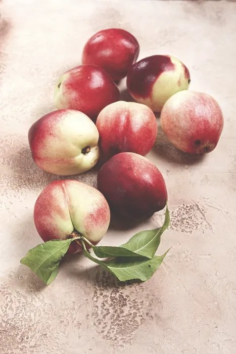 Framed Print : Nectarine Scattered Table Print, Top View Close-Up Framed Print : Nectarine Scattered Table Print, Top View Close-Up