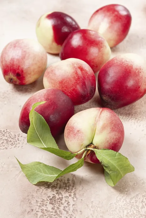 Framed Print : Nectarine Print: Close-Up Tabletop View Framed Print : Nectarine Print: Close-Up Tabletop View