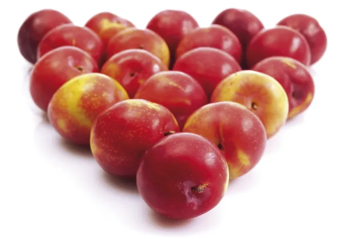Framed Print : Nectarines Print by ImageBROKER