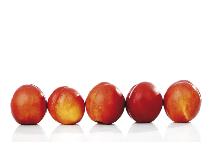 Framed Print : Nectarines Print from imageBROKER Framed Print : Nectarines Print from imageBROKER