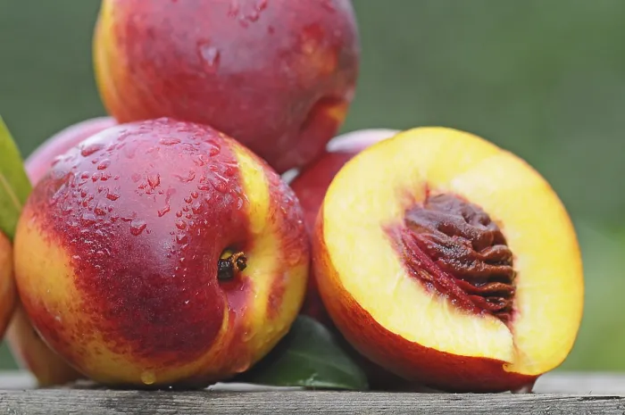 Framed Print : Nectarines with drops of water Print Framed Print : Nectarines with drops of water Print