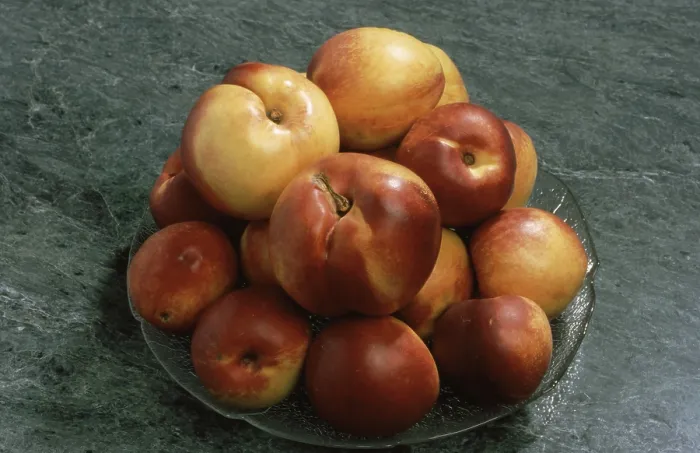 Framed Print : Nectarine Print: A Peach Mutation Framed Print : Nectarine Print: A Peach Mutation
