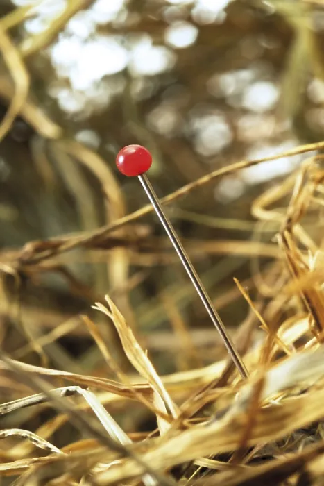 Framed Print : Needle in a Stack of Hay Print