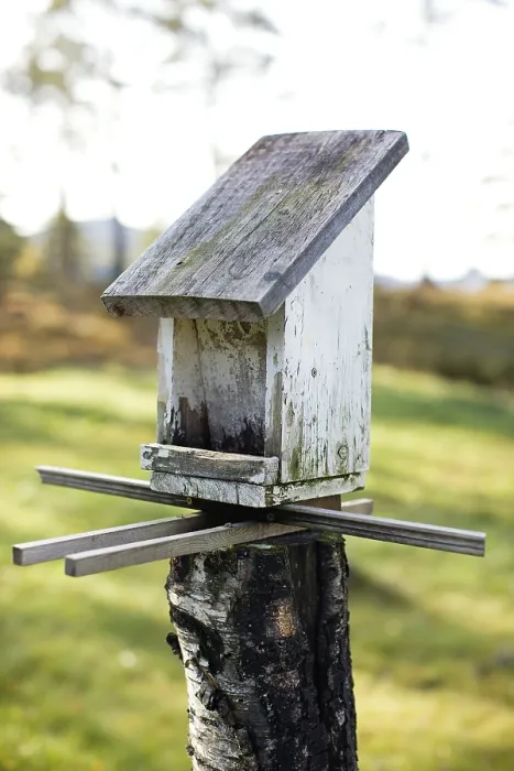 Framed Print : Nesting Box Print Framed Print : Nesting Box Print