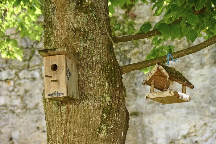 Framed Print : Nesting Box and Bird Feeder in Ossiach Tree, Austria Print Framed Print : Nesting Box and Bird Feeder in Ossiach Tree, Austria Print