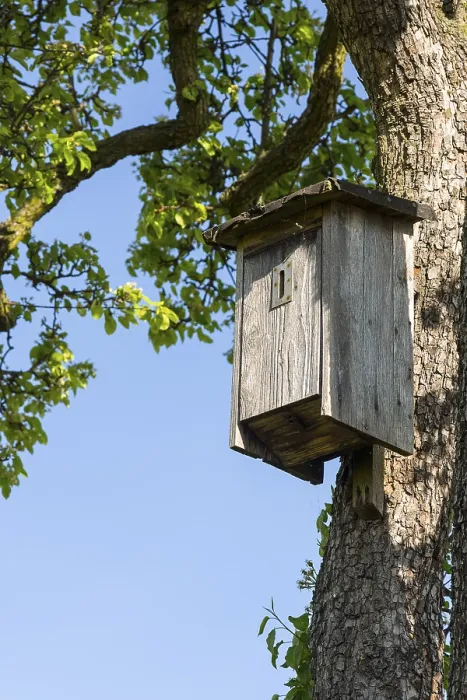 Framed Print : Nesting box for insects print, Saxony, Germany Framed Print : Nesting box for insects print, Saxony, Germany