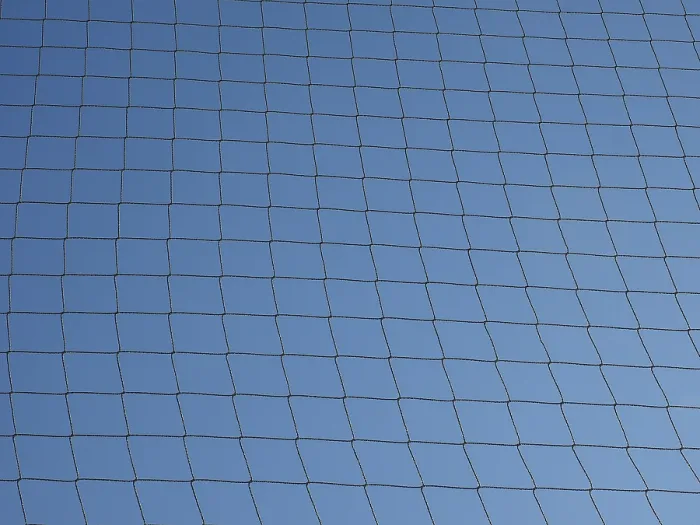 Framed Print : Net Over Blue Sky Print Framed Print : Net Over Blue Sky Print