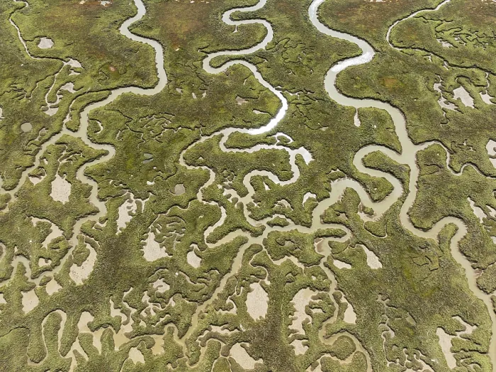 Framed Print : Print of Marshland Channels at Low Tide, Huelva Province, Spain Framed Print : Print of Marshland Channels at Low Tide, Huelva Province, Spain